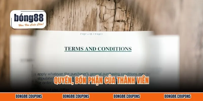 Quyền, bổn phận của thành viên