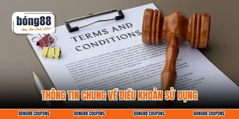 Thông tin chung về điều khoản sử dụng