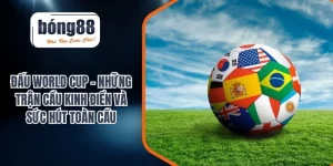 đấu world cup