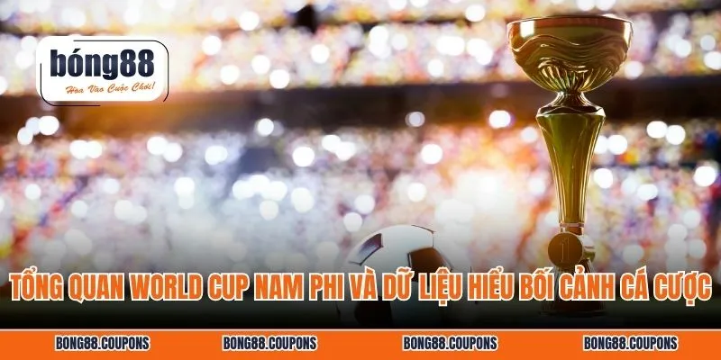 Tổng quan World Cup Nam Phi và dữ liệu hiểu bối cảnh cá cược